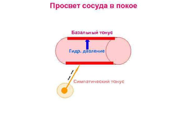 Ошибка на сервере кракен